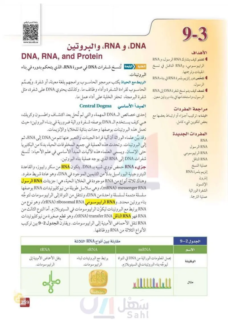 DNA 6-3 و RNA ، والبروتين