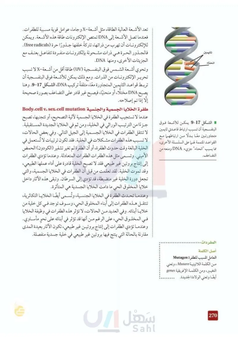 9-4 التنظيم الجيني والطفرة