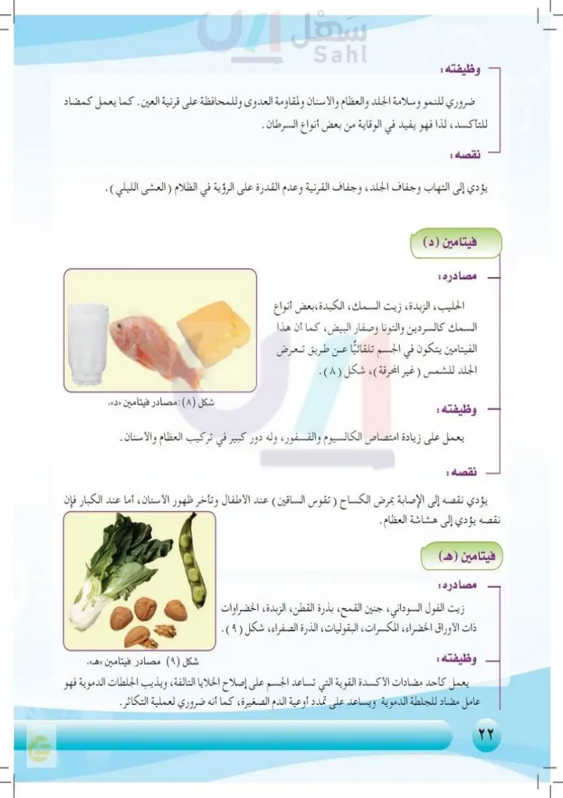 الغذاء