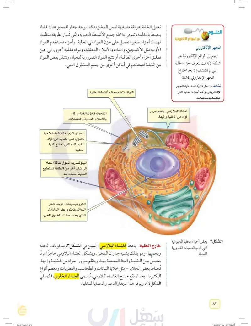 الدرس1: عالم الخلايا