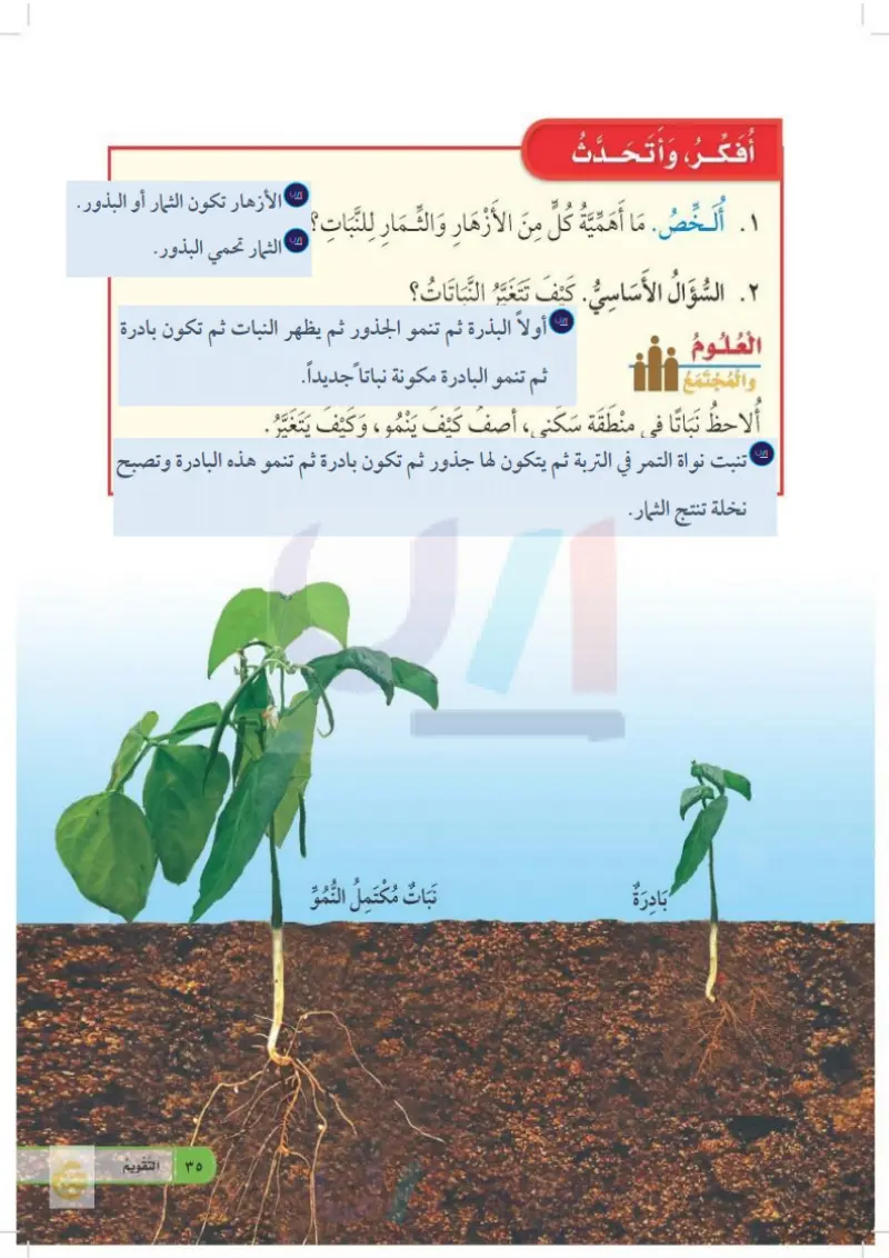 الدرس الأول: نمو النباتات