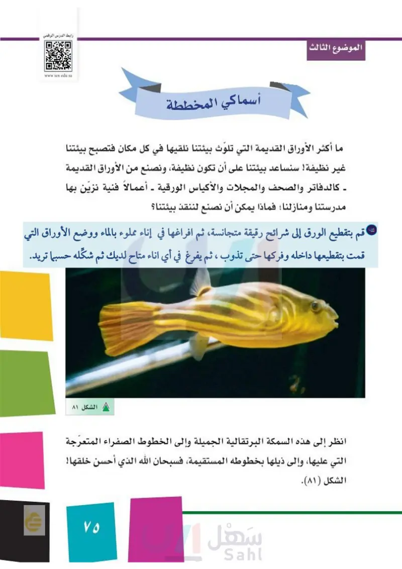 الموضوع الثالث: أسماكي المخططة