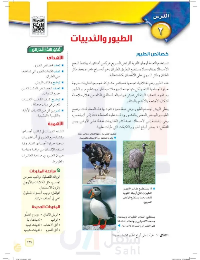 الدرس2: الطيور والثدييات