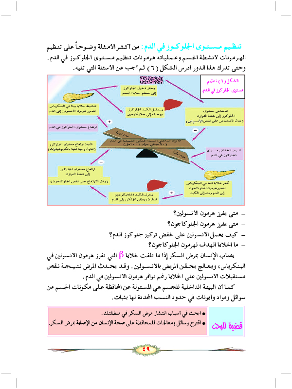 التنظيم الهرموني في الإنسان