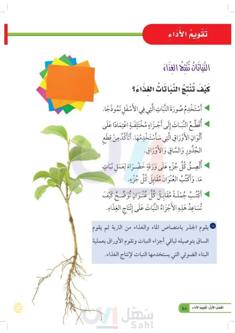 الدرس الثاني: النباتات تنتج نباتات جديدة