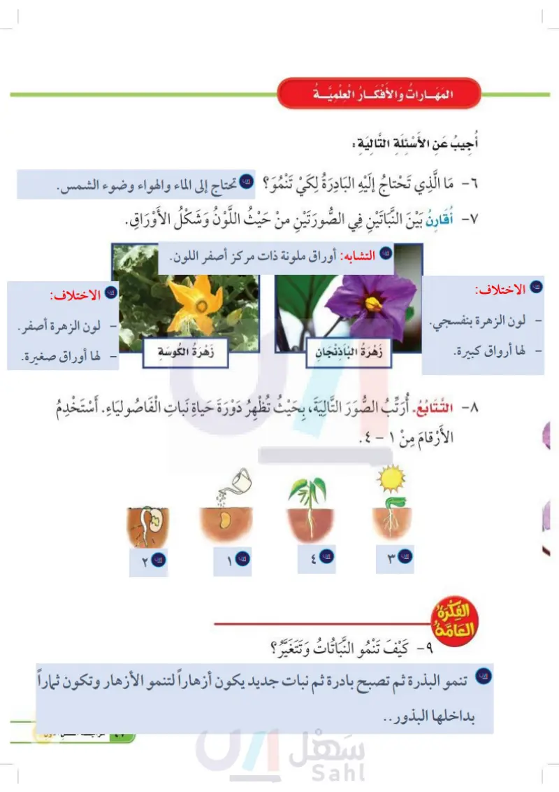 الدرس الثاني: النباتات تنتج نباتات جديدة