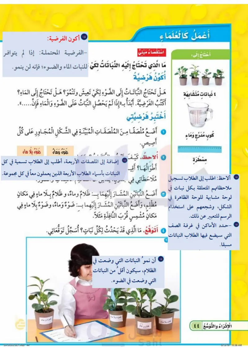 الدرس الثاني: النباتات وأجزاؤها