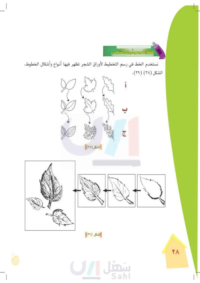 السداد للتعديل يشهد  رسم أوراق الشجر - التربية الفنية - رابع ابتدائي - المنهج السعودي
