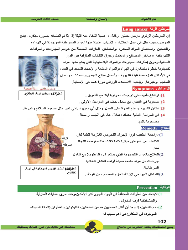 الفصل السادس: الجهاز التنفسي