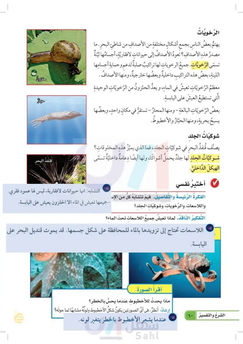الحيوانات اللافقارية - العلوم 1 - رابع ابتدائي - المنهج السعودي