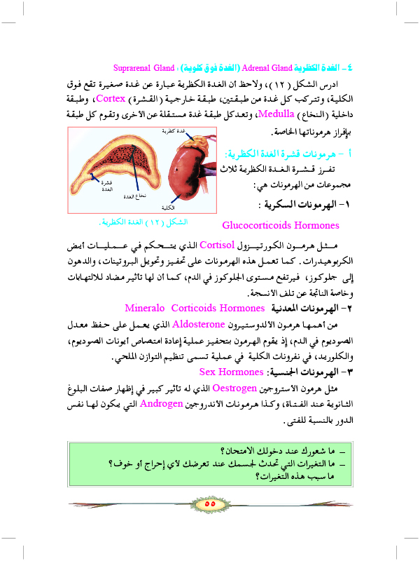 التنظيم الهرموني في الإنسان