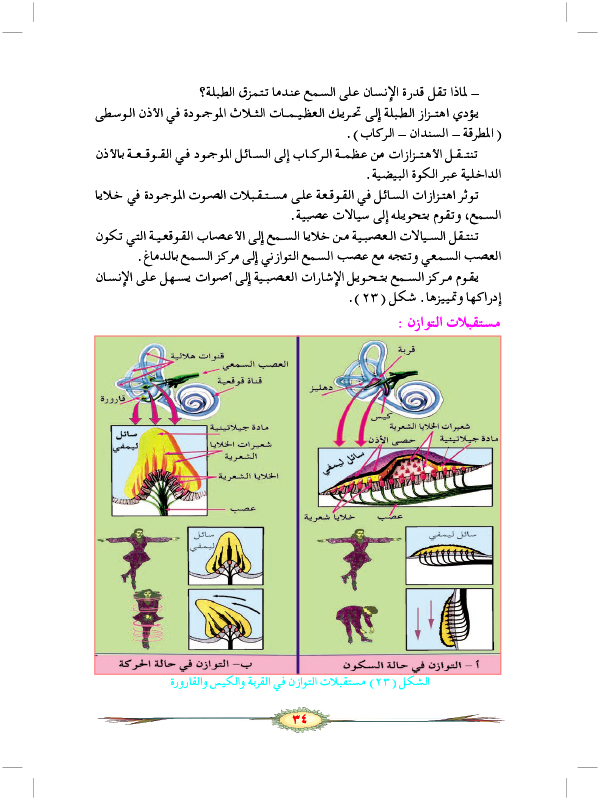 المستقبلات الآلية