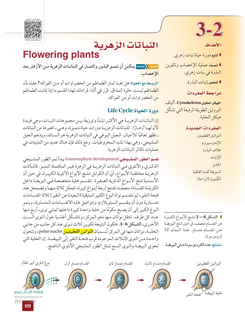 3-2 النباتات الزهرية