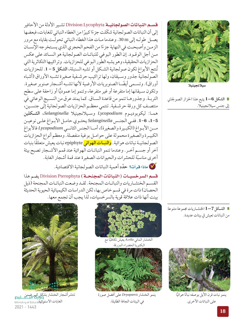 1-2 النباتات الوعائية اللابذرية