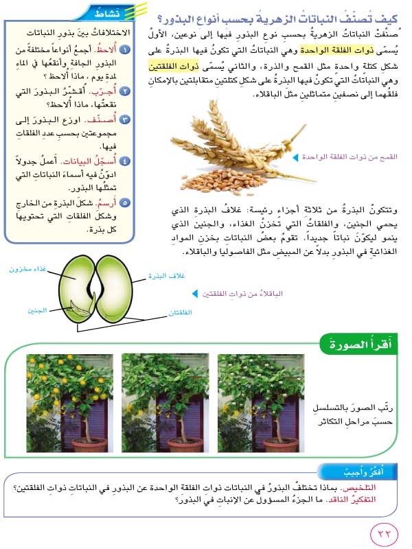 النباتات الزهرية علوم خامس ابتدائي المنهج العراقي