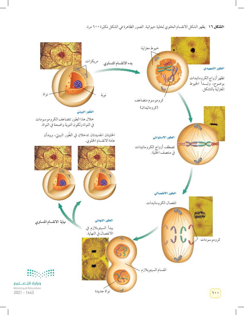 الدرس2: انقسام الخلية وتكاثرها