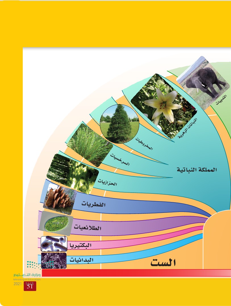 عدد الممالك في التصنيف الحديث