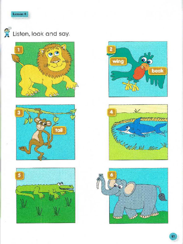 Lesson 4: Wild world