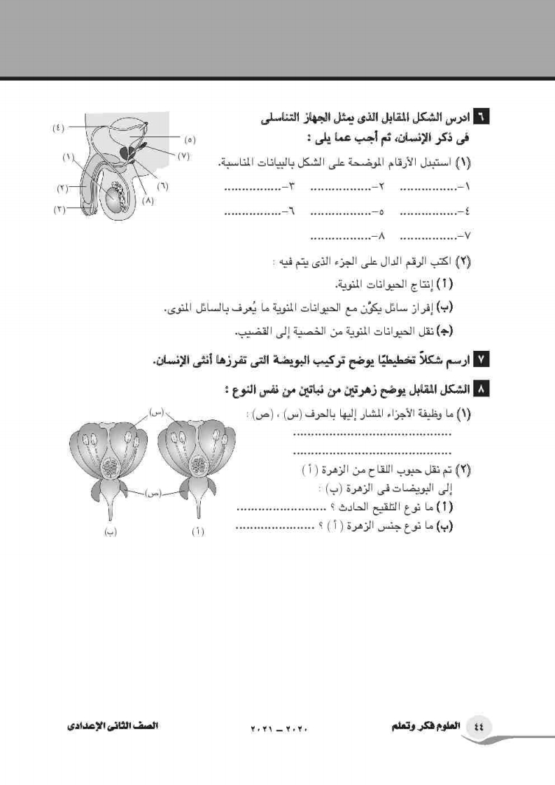 تدريبات الوحدة الثالثة