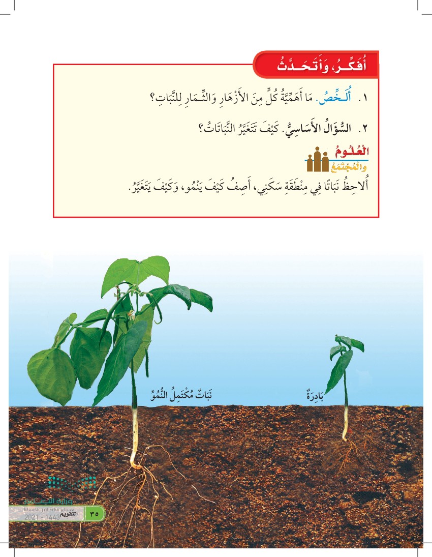 الدرس الأول: نمو النباتات