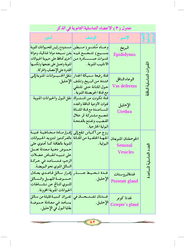 التكاثر الجنسي في الحيوانات