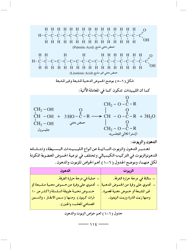 الليبيدات