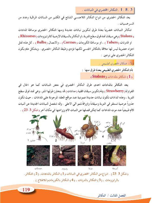 3-8  التكاثر في النباتات