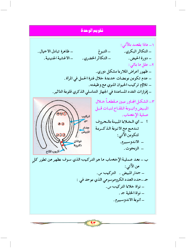 التكاثر الجنسي في الحيوانات