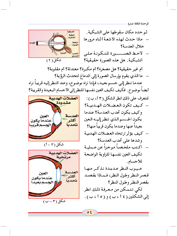 الدرس الثالث: كيف ترى العين الأشياء؟