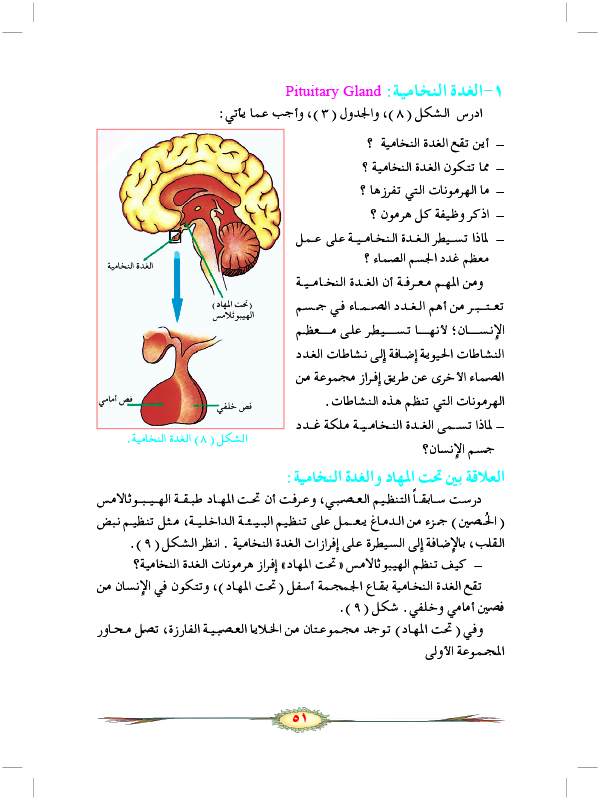 التنظيم الهرموني في الإنسان