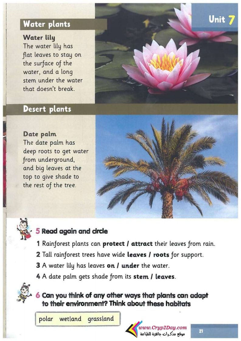CLIL: Adaptotion in plants