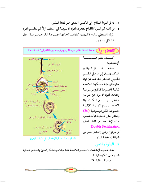 التكاثر الجنسي في النباتات