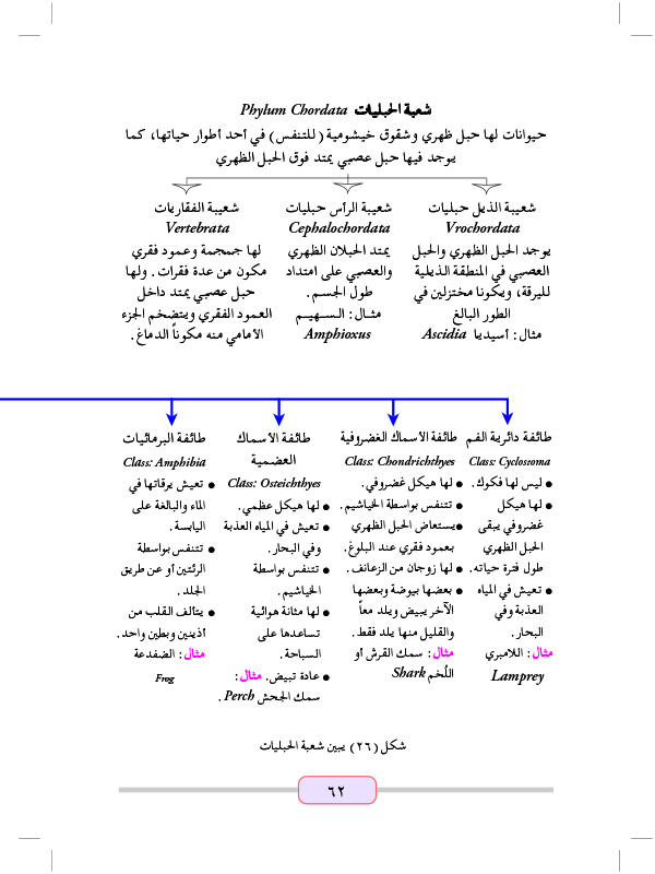 المملكة الحيوانية