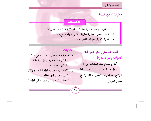 نشاط (4): فطريات من البيئة