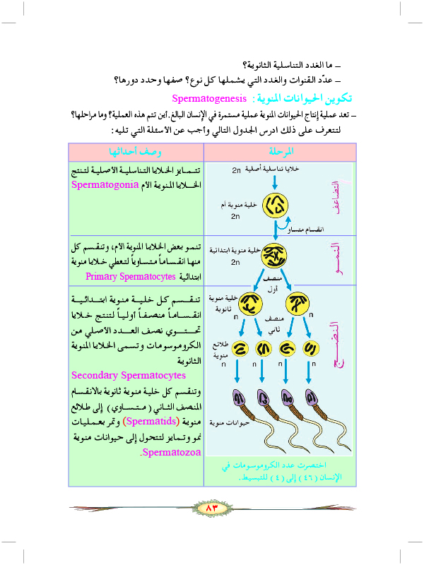 التكاثر الجنسي في الحيوانات