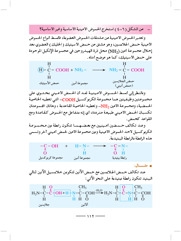 البروتينات