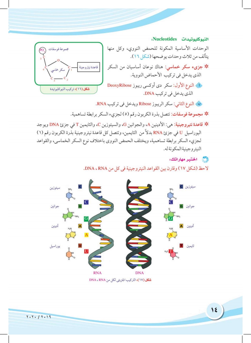 الفصل الثاني: التركيب الكيميائي لأجسام الكائنات الحية (البروتينات والأحماض النووية)