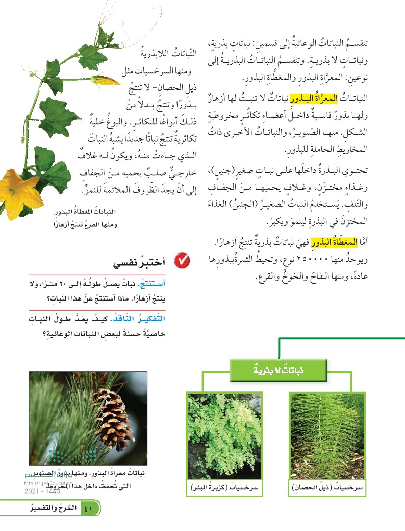 الدرس الثاني: النباتات