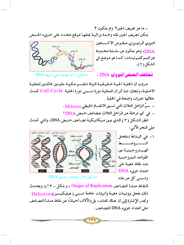 الوراثة الجزيئية