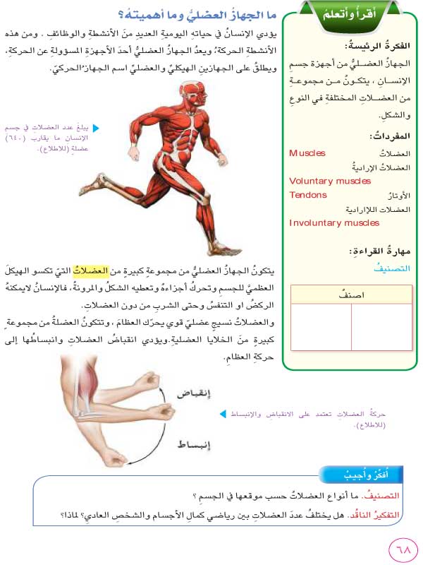 الدرس الثالث: الجهاز العضلي وصحته