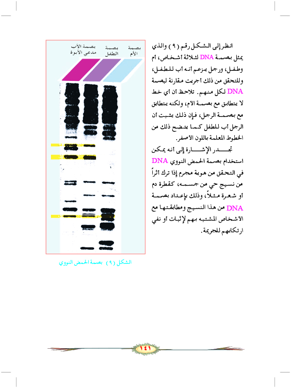 تطبيقات في الوراثة الجزيئية