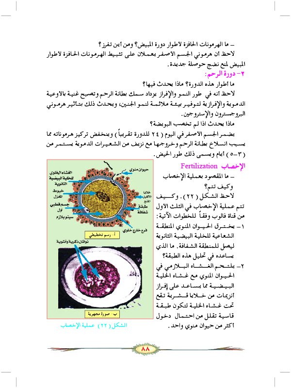 التكاثر الجنسي في الحيوانات