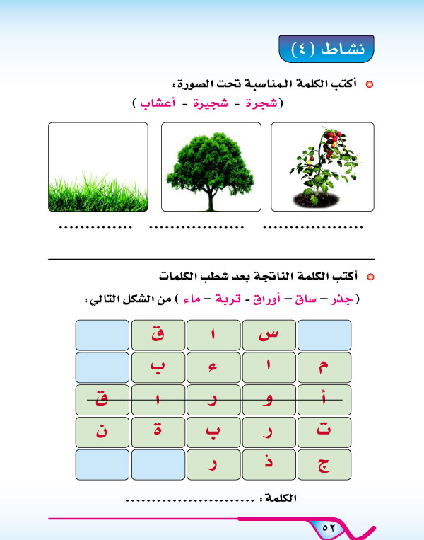 الأنشطة التقويمية