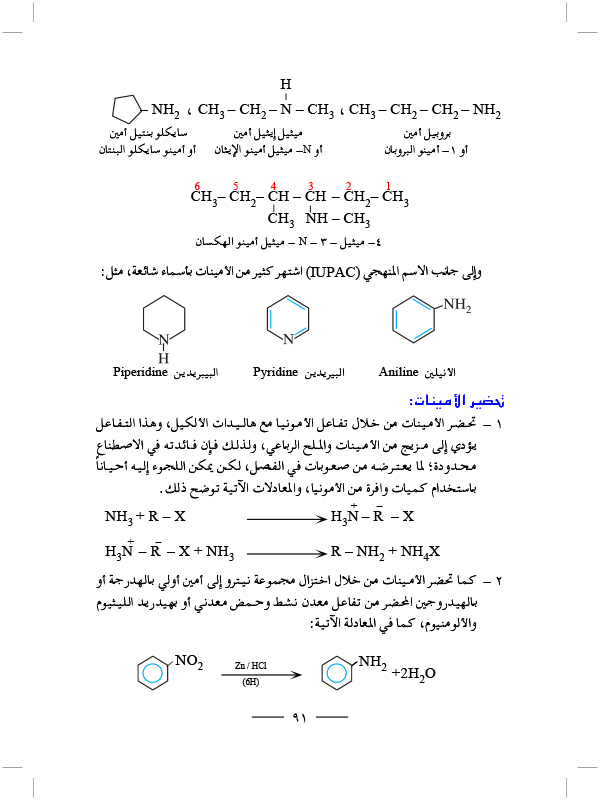 الأمينات