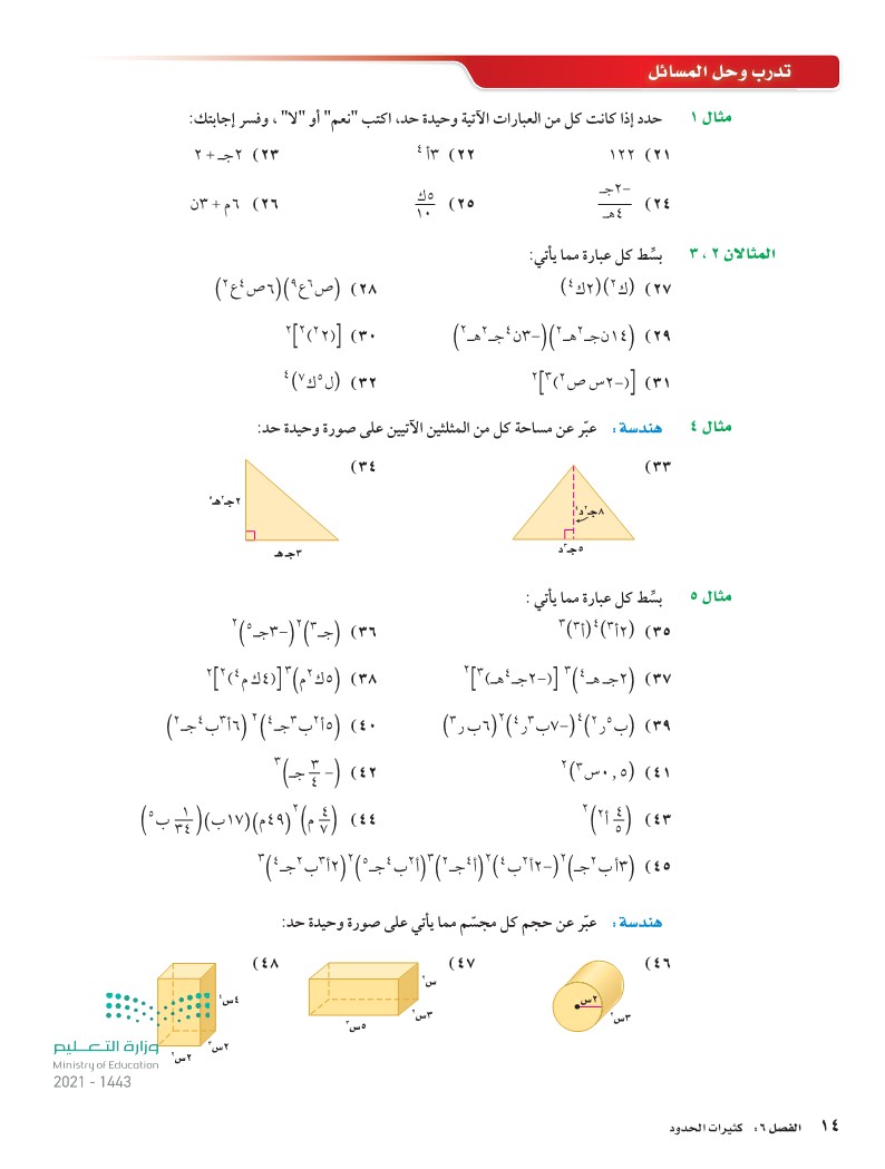 ضرب وحيدات الحدود