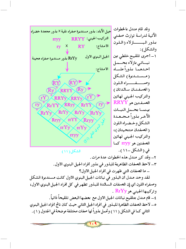 الشكل الجيني والشكل الظاهري