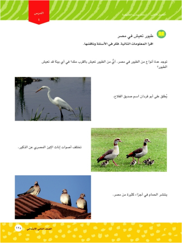 الدرس الرابع: طيور تعيش في مصر