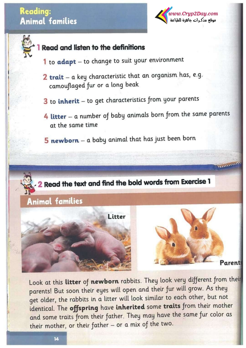 Reading: Animal families