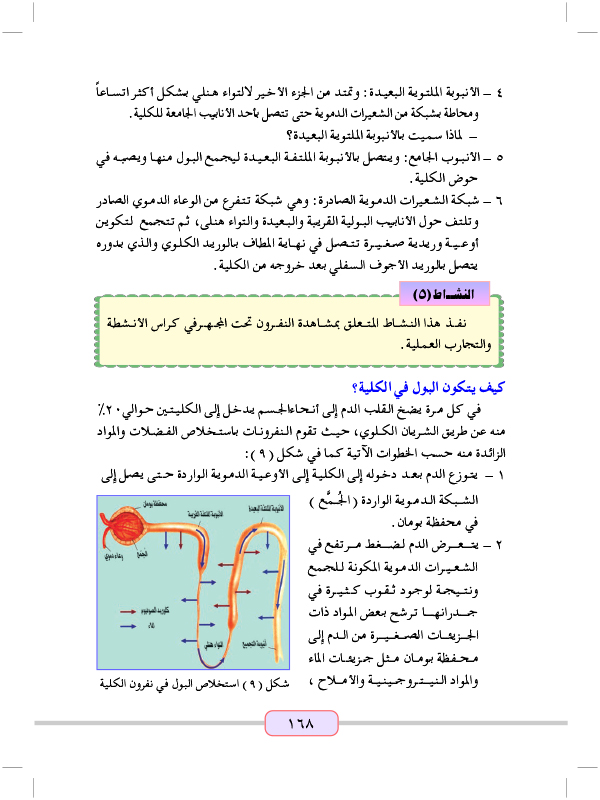 الاخراج في الحيوانات الفقارية(الاخراج في الانسان)