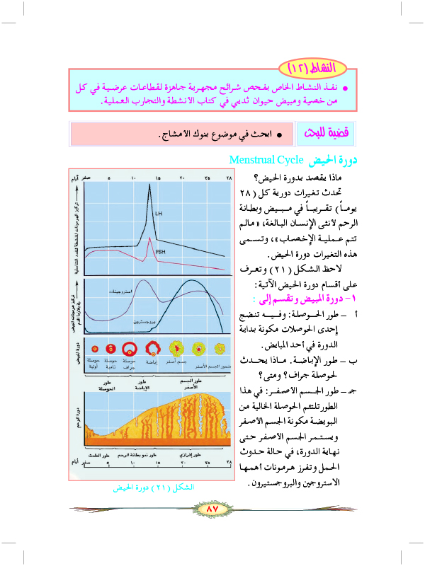 التكاثر الجنسي في الحيوانات